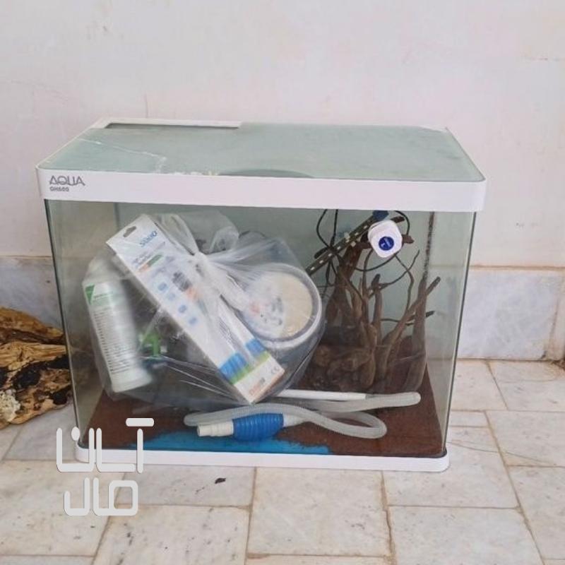 اکواریوم
