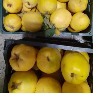 هیوا درجه یک