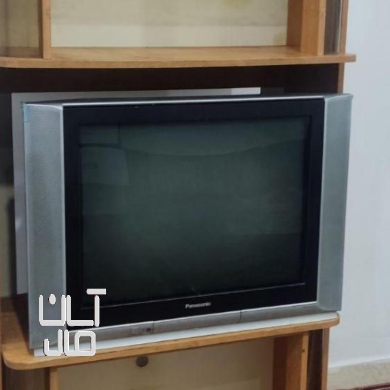 تلویزیون