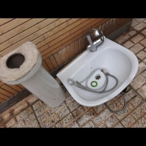 سرشور ایستاده