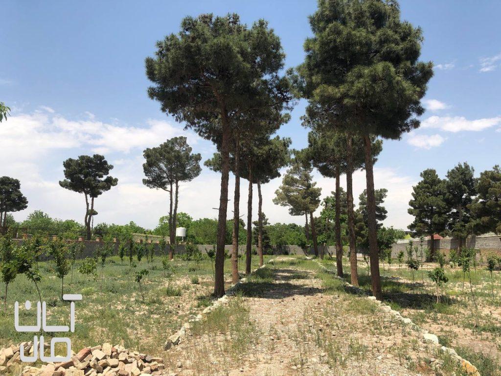 مهرشهر 5000 متر باغ ویلا ششدانگ بامجوز ساخت