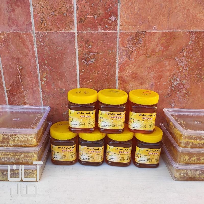 فروش عسل کوهستان درمانی درجه ۱