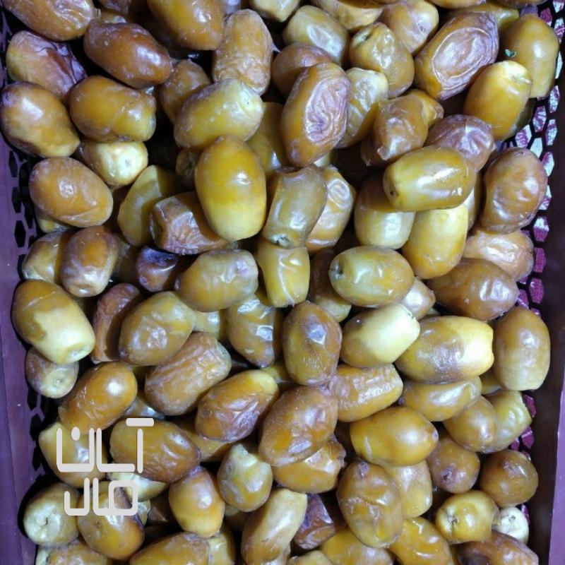 خرما زاهدی