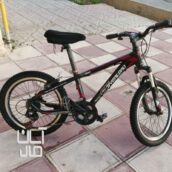 دوچرخه ۲۰ آور لورد