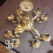 لوستربرنز۱۲ شاخه