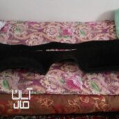 فروش روداشبوردی207