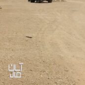 زمین توسعه شهری