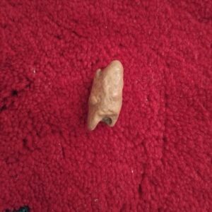 اصل اصل مهره اصلی