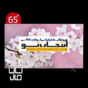 تلویزیون تی سی ال مدل 65C655