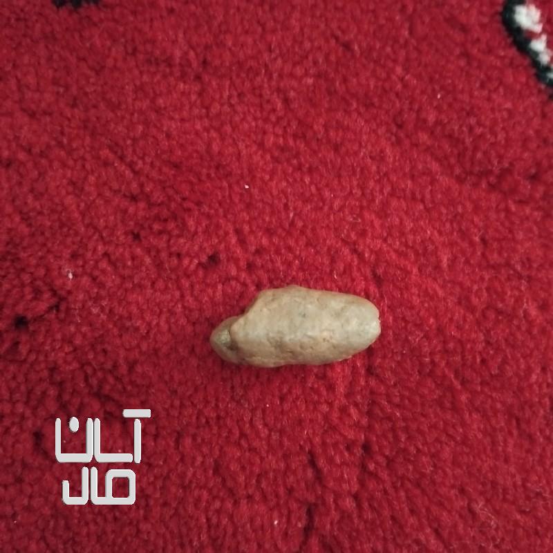 اصل اصل مهره اصلی