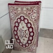 دو عدد پشتی