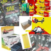 چسب و تله موش انواع مختلف