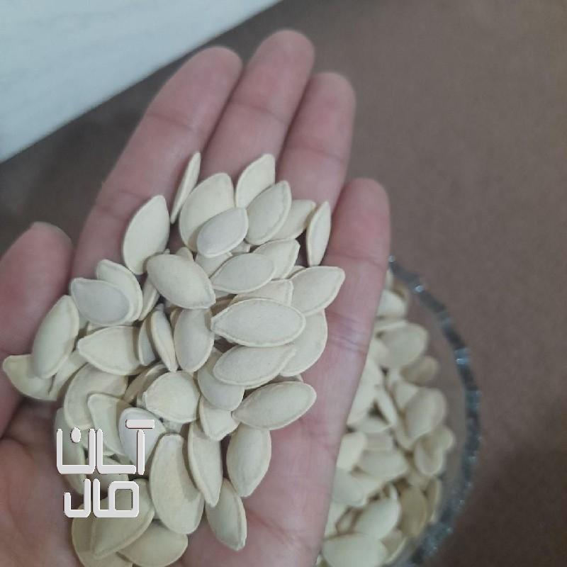 تخم کدو