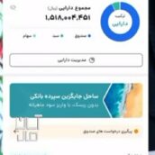 بیکار نشین  بیا طول دو روز با گوشی پول در بیار