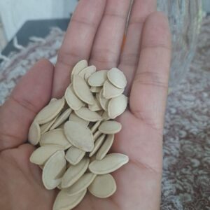 تخم کدو