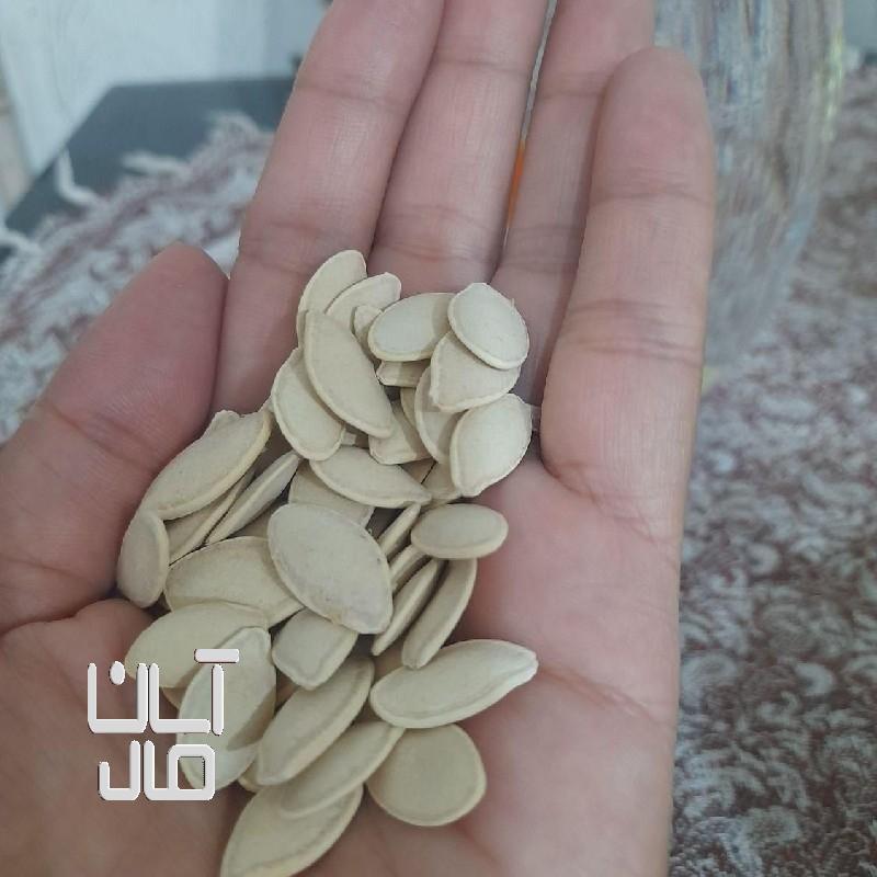 تخم کدو
