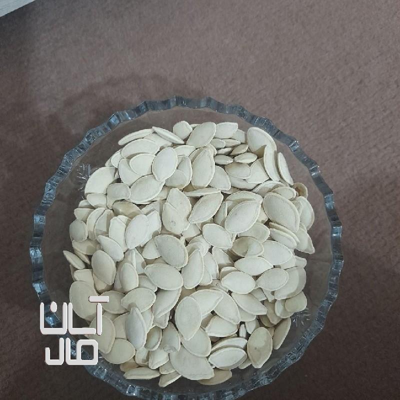 تخم کدو