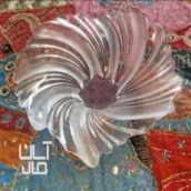 میوه خوری والتر