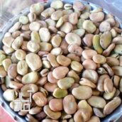 باقالا پاک شده