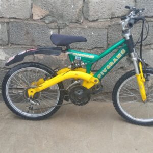 دوچرخه 24