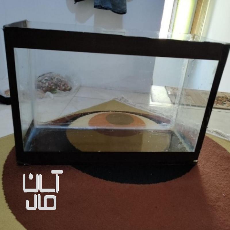 آکواریوم