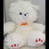 عروسک پولیشی