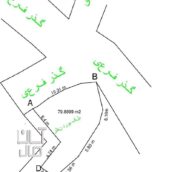 زمین هشتاد متری