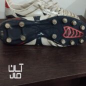 چند عدد کتوتی و کفش