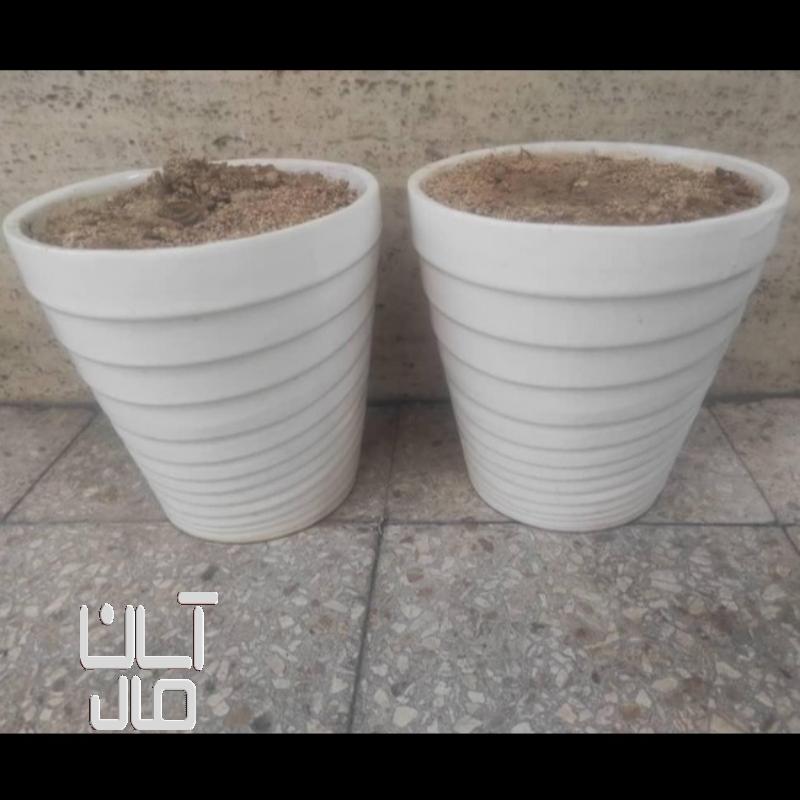 دوعدد گلدان