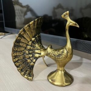 طاووس برنز