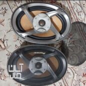 باند پایونر