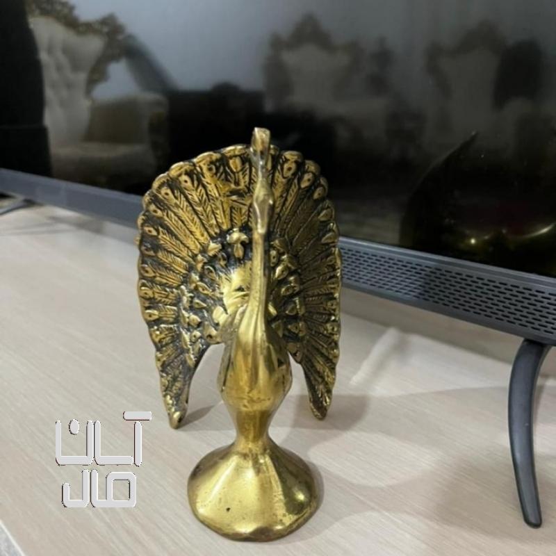طاووس برنز