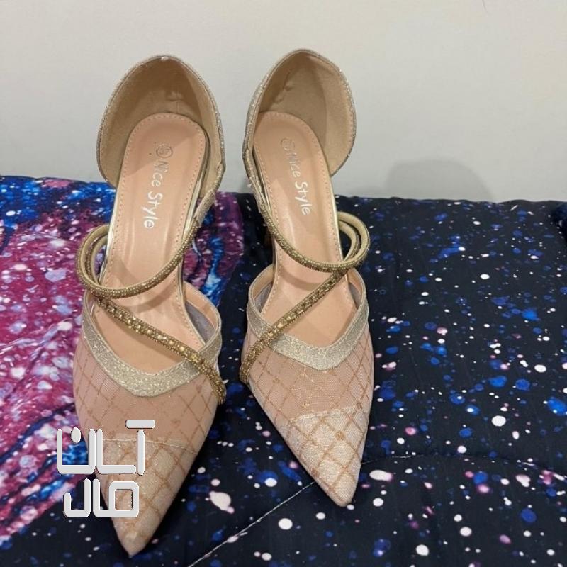 کفش مجلسی
