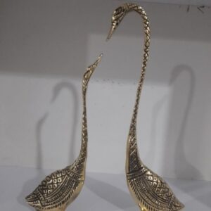 دوقوی برنزی