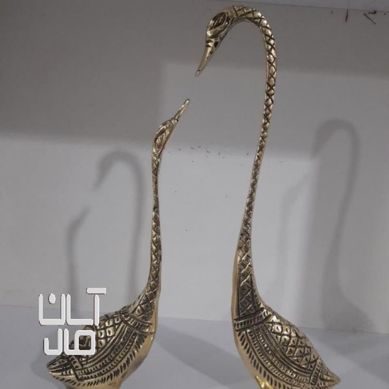 دوقوی برنزی