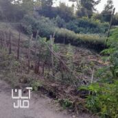 فروش یک قطعه زمین ۲۵۲متری