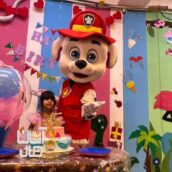 اجاره تن پوش سورپرایز تولد بادکنک ارایی تنپوش دیجی مجری