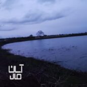 فروش فوری یه قطعه زمین 1000 متری