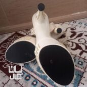 کفش مجلسی