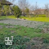 خانه و زمین در حویق