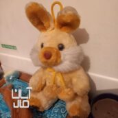 خرگوش پلیشی