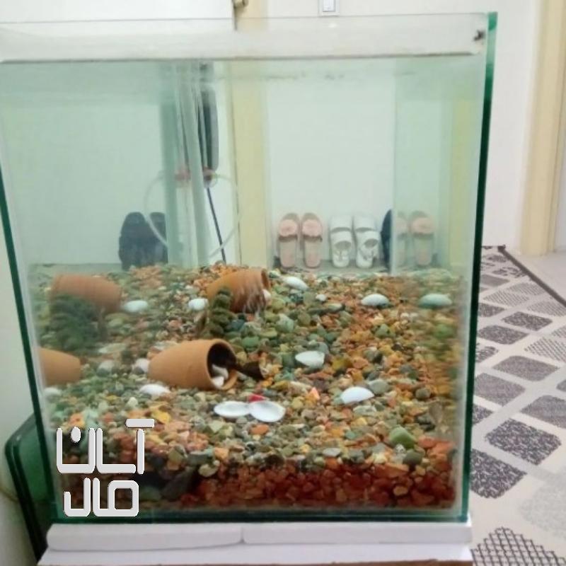 آکواریوم باپمپ هوا وماهی