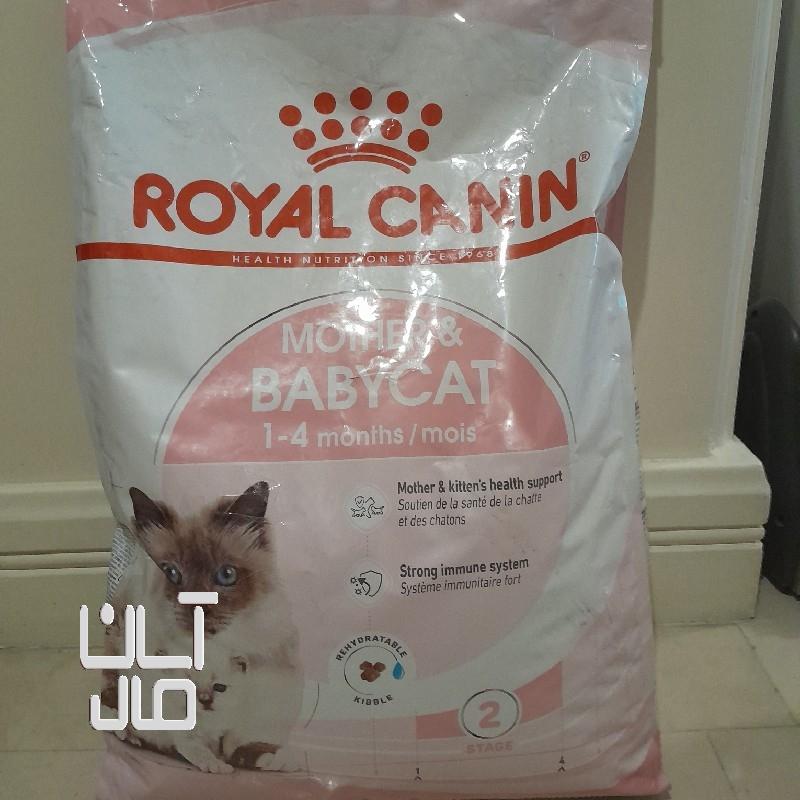 غذای خشک گربه مادر اند بیبی ۱٠کیلویی رویال کنین اصل فرانسه