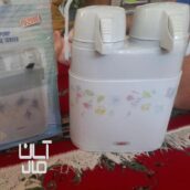 فلاکس دوقلو