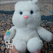 عروسک پولیشی