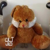 خرگوش پولیشی