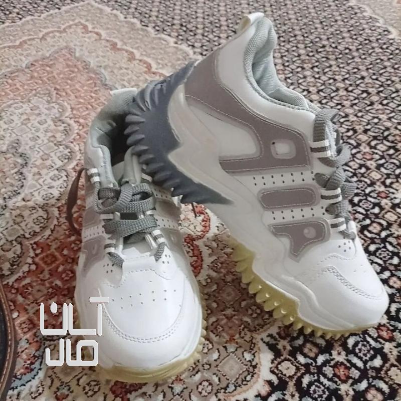 کتانی اسپرت