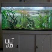 آکواریوم دلسا۱۲۰