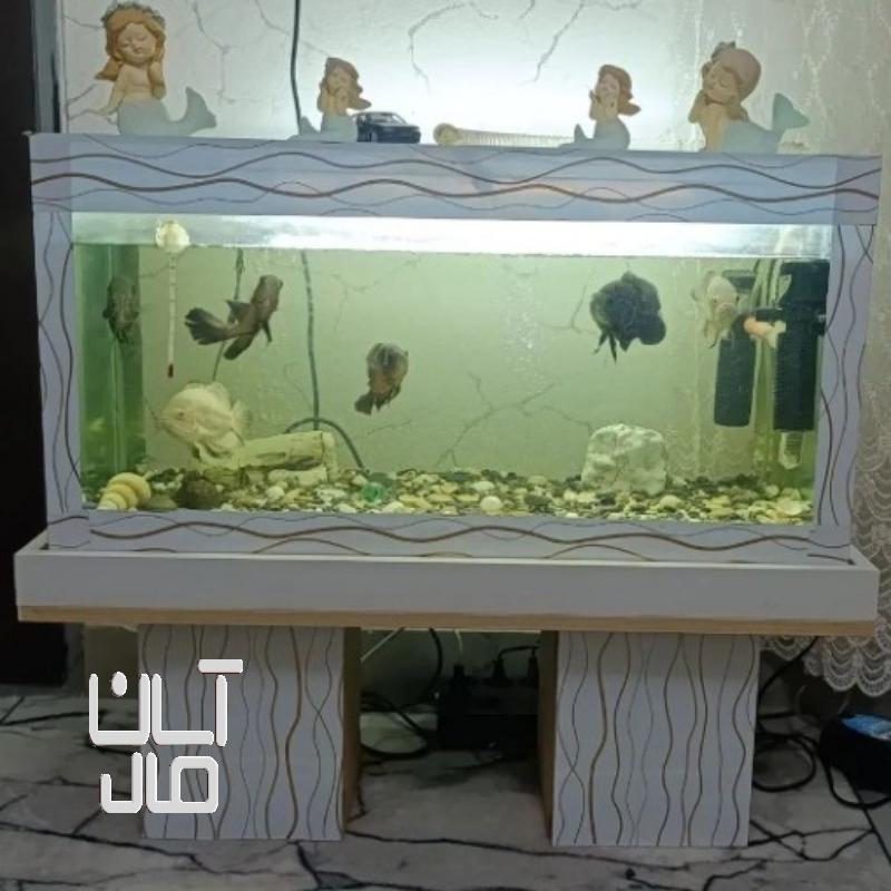 فروش آکواریوم باماهی
