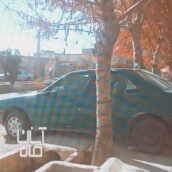 پژو آردی☆سالم بی رنگ مدل ۷۹ بیمه و کارت سوخت ۲۵۰لیتر